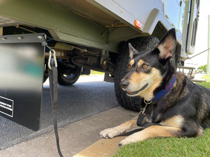 Gen 1 & Gen 2 Underbody Stone Protection System